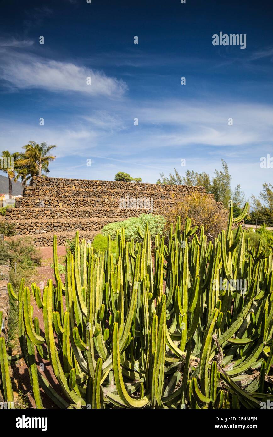 España, Islas Canarias, Tenerife, Güímar, Pirámides de Güímar, eco sitio fundada por el Explorador Thor Heyerdahl, pirámides construidas por los primeros colonos de Tennerife Foto de stock