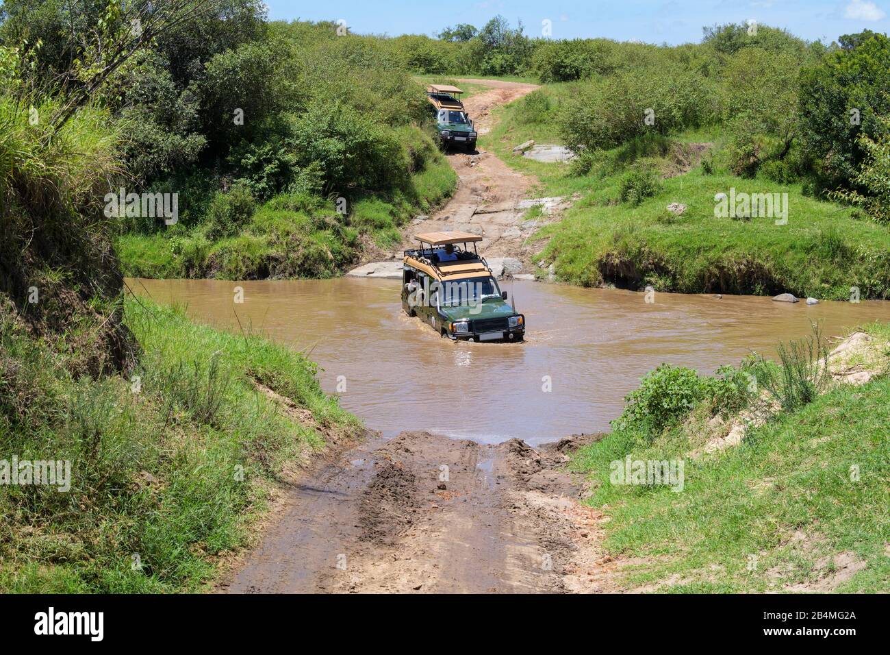 Jeep Safari la conducción a través de río, Reserva Nacional de Masai Mara, Kenya, Africa. Foto de stock