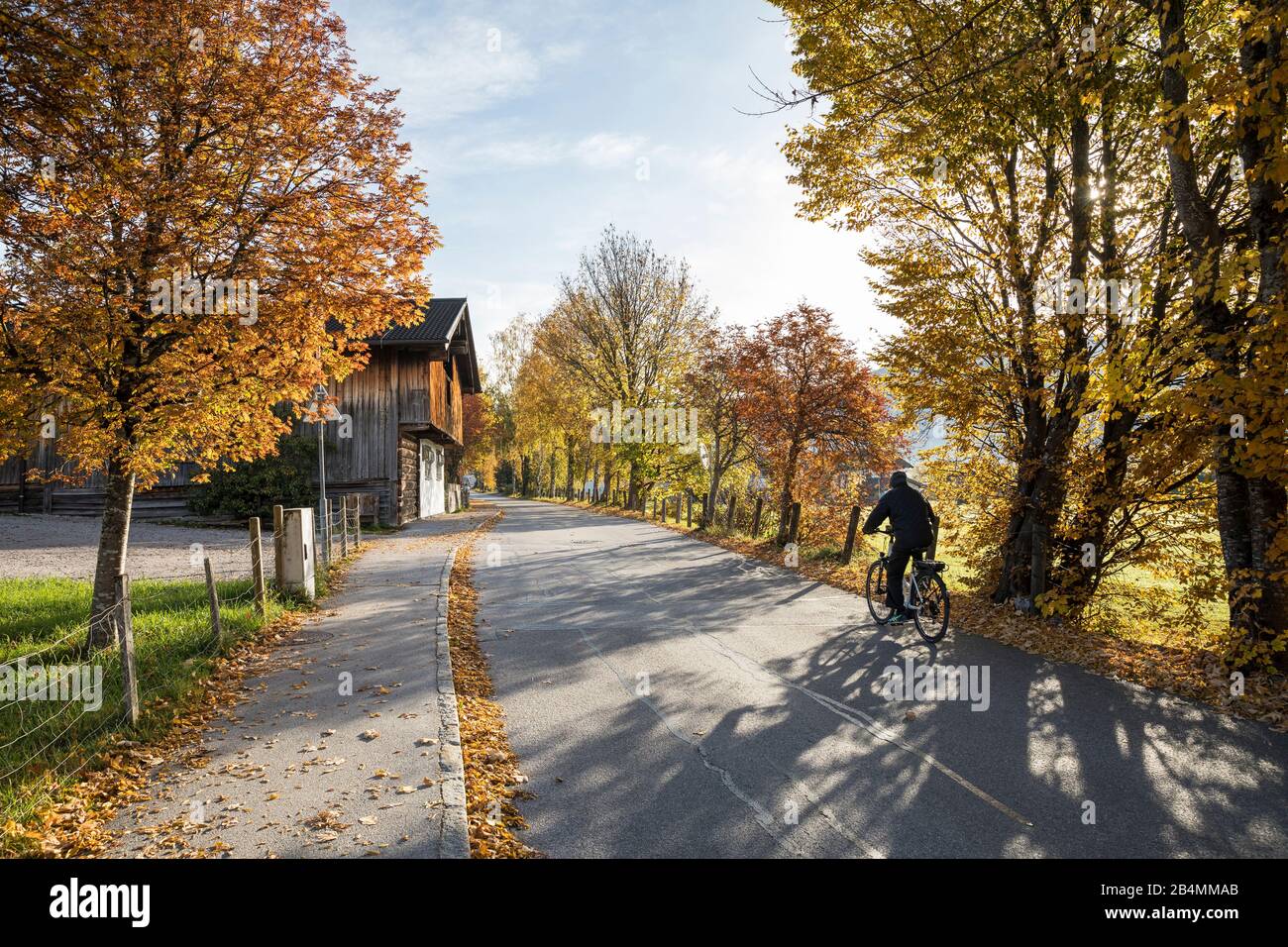 Radfahrer in der herbstlichen Gaismairallee, Radstadt, Pongau, Land Salzburgo, Österreich, Oktober 2019 Foto de stock