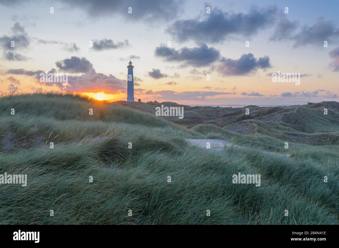 Faro en paisaje de dunas al amanecer, Lyngvig Fyr, Hvide Sande, Ringkobing Fjord, Mar del Norte, Midtjylland, Central Jutland, Dinamarca Foto de stock