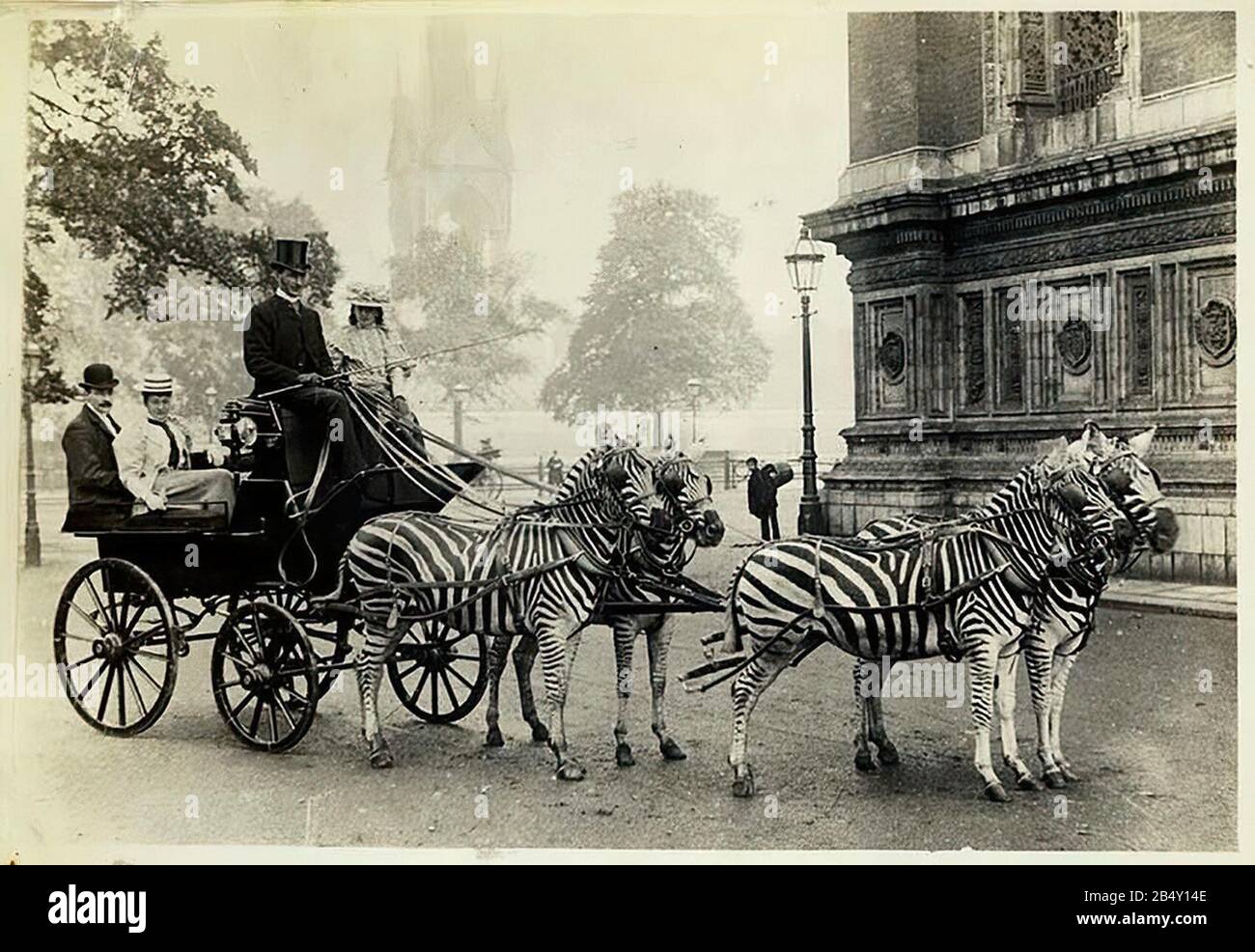 Lionel Walter Rothschild zebra transporte como aparecía en las calles de Londres en 1894 Foto de stock