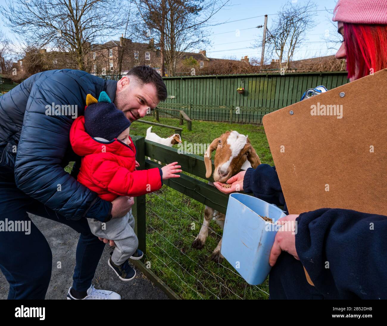 Fraser McKenzie, jugador de rugby de Edimburgo y su hijo Warren dando de comer a un niño de cabra billy, Love Gorgie Farm, Edimburgo, Escocia, Reino Unido Foto de stock