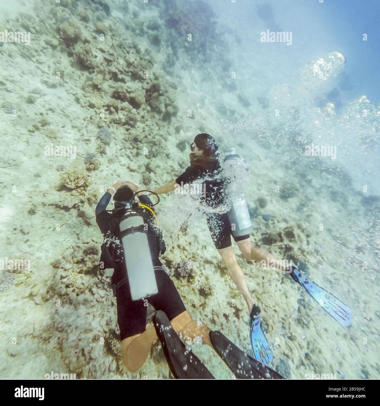 Los buceadores disfrutan buceando en aguas claras en un arrecife de coral en el Mar Rojo, Egipto. Foto de stock