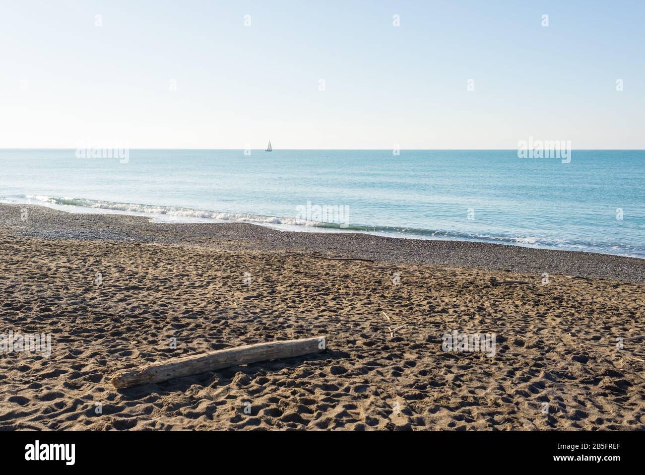 Invierno escena costera en la Toscana con troncos de madera en la playa de arena, el tiempo soleado y el mar tranquilo Foto de stock