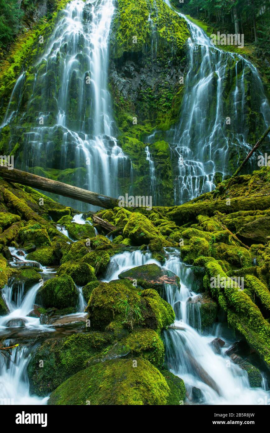 Proxy Falls, Tres Hermanas desierto Willamette-Deschutes National Forest, Oregón Foto de stock