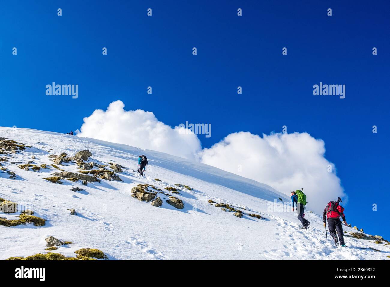 Los senderistas invernales ascendiendo empinada cuesta de nieve desde Striding Edge hasta la cumbre de Helvellyn en el Parque Nacional del Distrito de los Lagos, Cumbria, Reino Unido Foto de stock