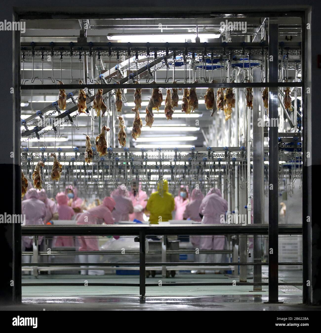 Anshan, Provincia De Liaoning De China. 9 de marzo de 2020. Los trabajadores están ocupados en líneas de producción en una compañía de carne de aves de corral en la ciudad de Anshan, en la provincia Liaoning, noreste de China, el 9 de marzo de 2020. Los bancos de Anshan han ofrecido apoyo financiero a las empresas agrícolas locales para ayudarles a reanudar la producción en medio de la lucha contra el nuevo coronavirus. Crédito: Yao Jianfeng/Xinhua/Alamy Live News Foto de stock