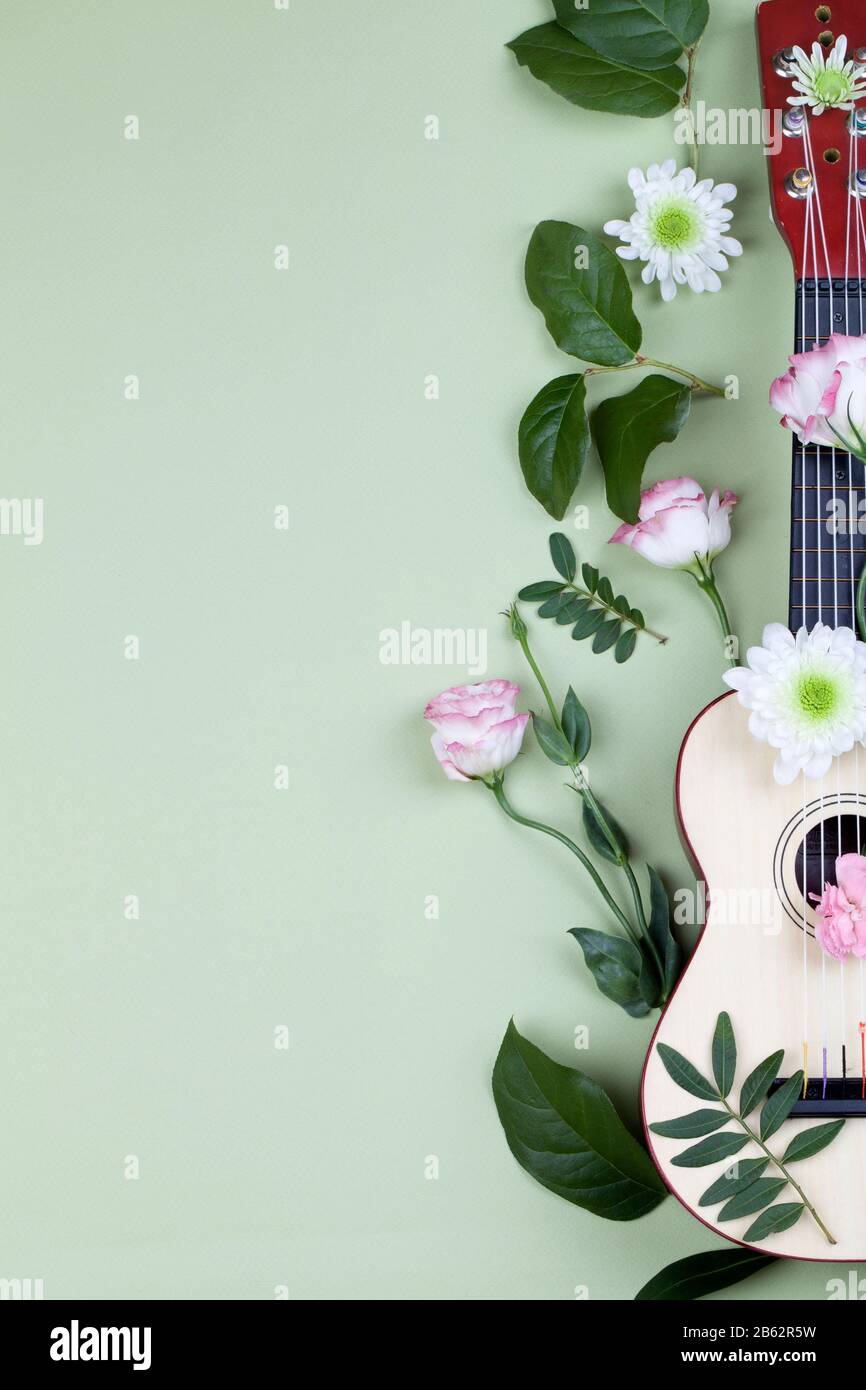 vista superior de una guitarra y flores sobre fondo verde. postal hermosa ,  cubierta para álbum musical, papel pintado primer plano espacio de copia  Fotografía de stock - Alamy