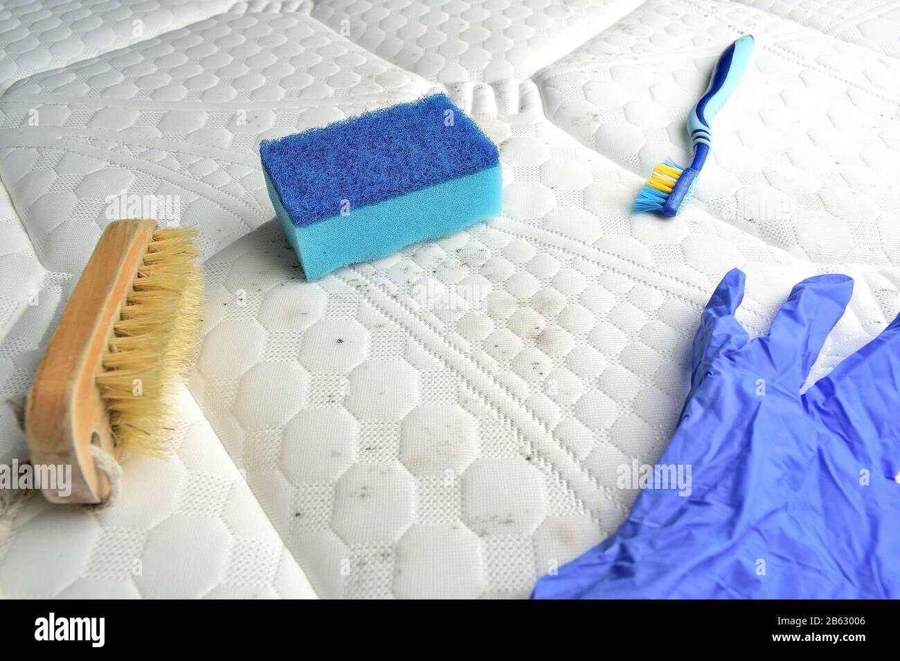 Eliminar manchas de moho de la superficie del colchón. Cepillo, esponja,  guante de nitrilo, cepillo de dientes en la parte superior Fotografía de  stock - Alamy