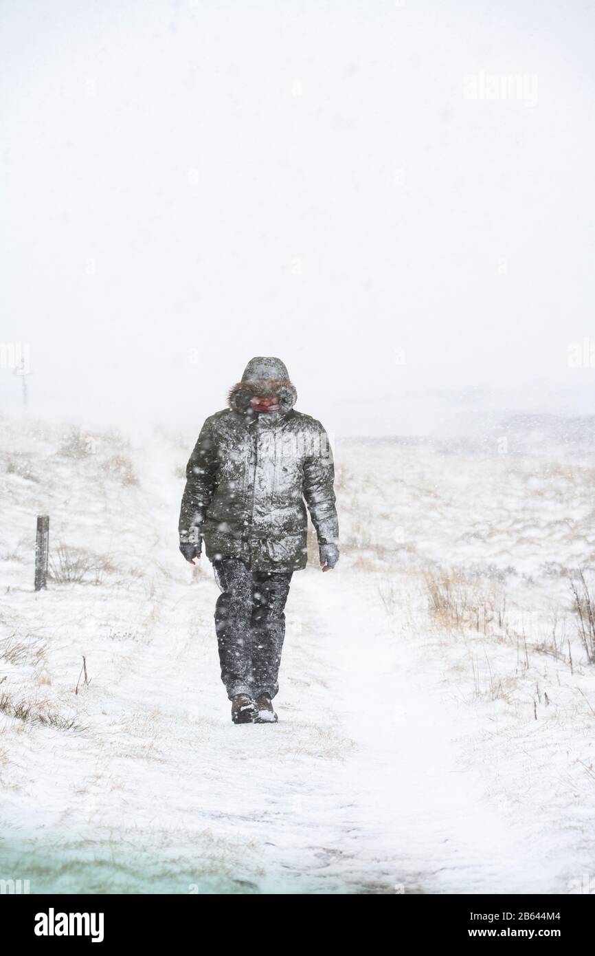 Hombre caminando en una tormenta de nieve durante la tormenta Jorge al lado de la carretera entre las colinas y el cerro. Febrero De 2020. Fronteras escocesas, Escocia Foto de stock