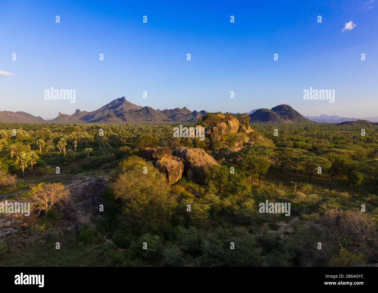 Oasis frente a las montañas de Boya, montañas de Boya, Imatong, Sudán del Sur Foto de stock