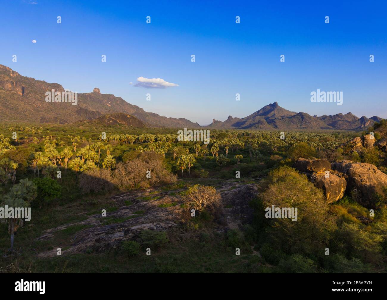 Oasis frente a las montañas de Boya, montañas de Boya, Imatong, Sudán del Sur Foto de stock
