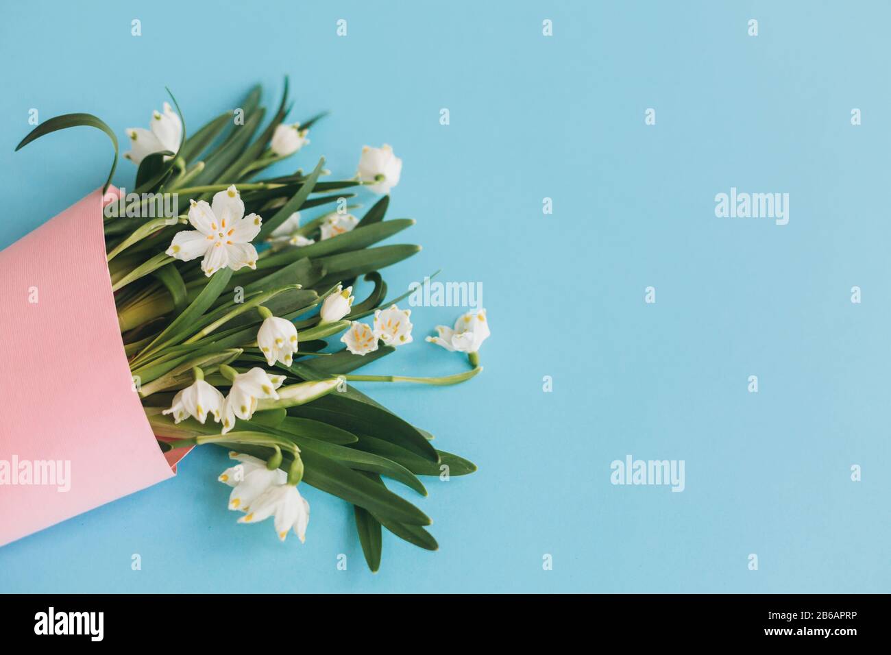 Flores blancas de primavera en cono rosa sobre fondo azul plano. Hola primavera. Elegante tarjeta de felicitación. Feliz concepto de día para mujer. Feliz día de las madres. Sprin Fotografía de stock - Flores blancas de primavera en cono rosa sobre fondo azul plano. Hola primavera. Elegante tarjeta de felicitación. Feliz concepto de día para mujer. Feliz día de las madres. Sprin Fotografía de stock -