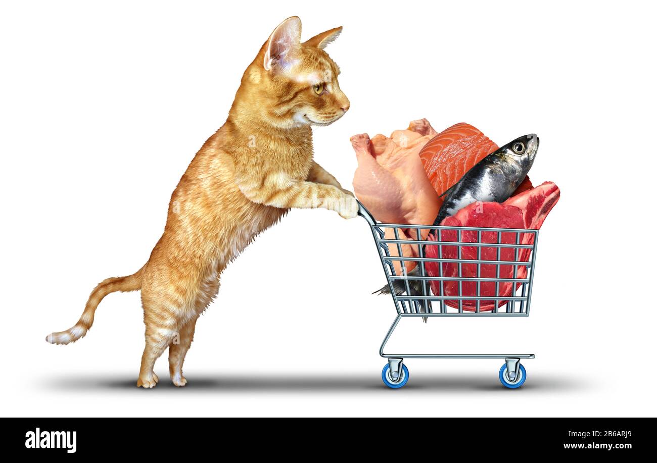 Compras de comida de gato como un gatito o gatito empujando un carrito de comestibles con nutrición de proteínas de mascotas como pescado de carne de pollo y salmón. Foto de stock