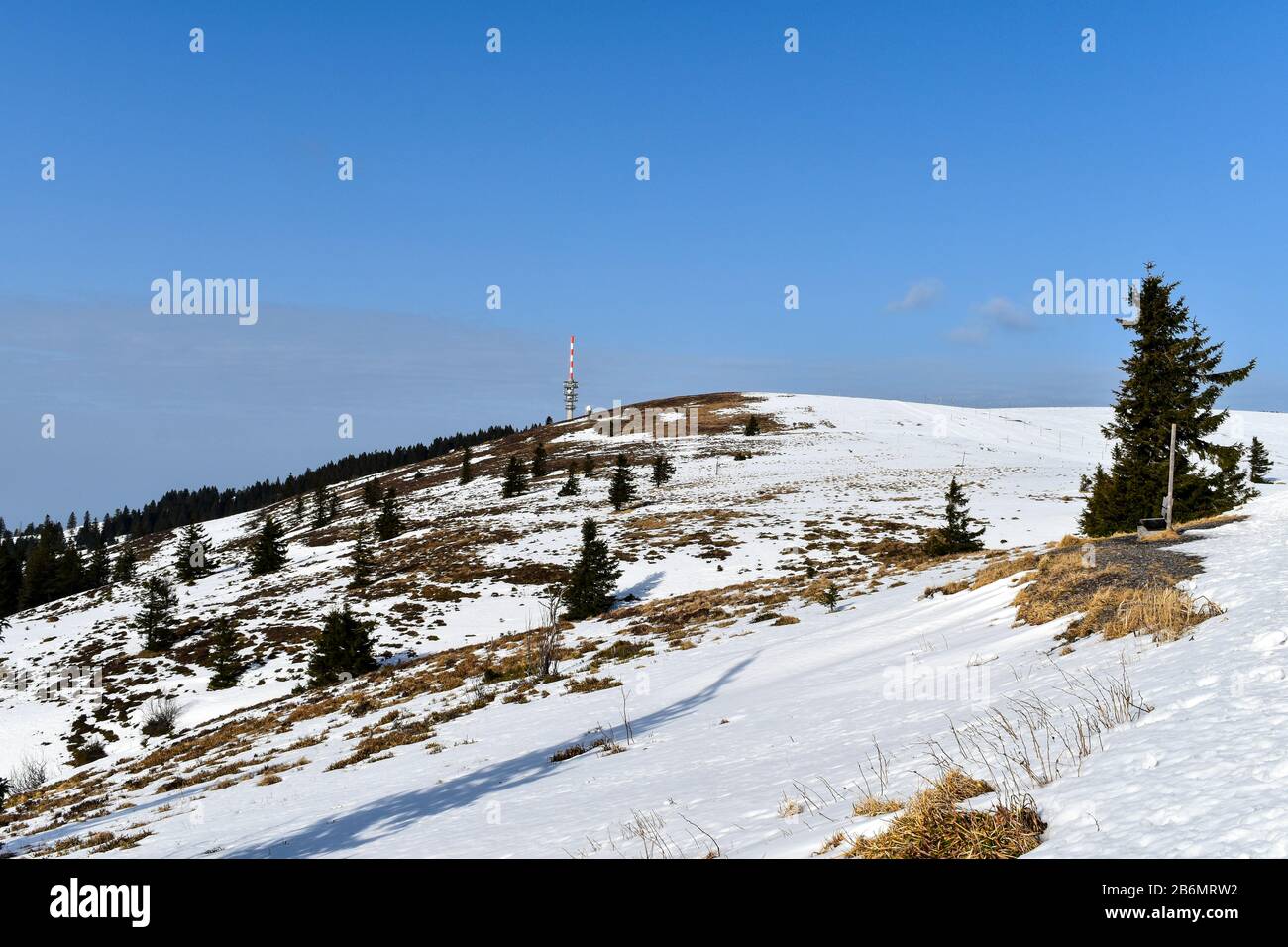 Paisaje panorámico de invierno en Feldberg. Foto de stock