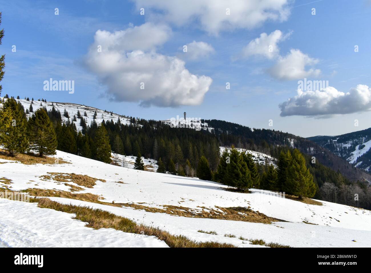 Paisaje panorámico de invierno en Feldberg. Foto de stock