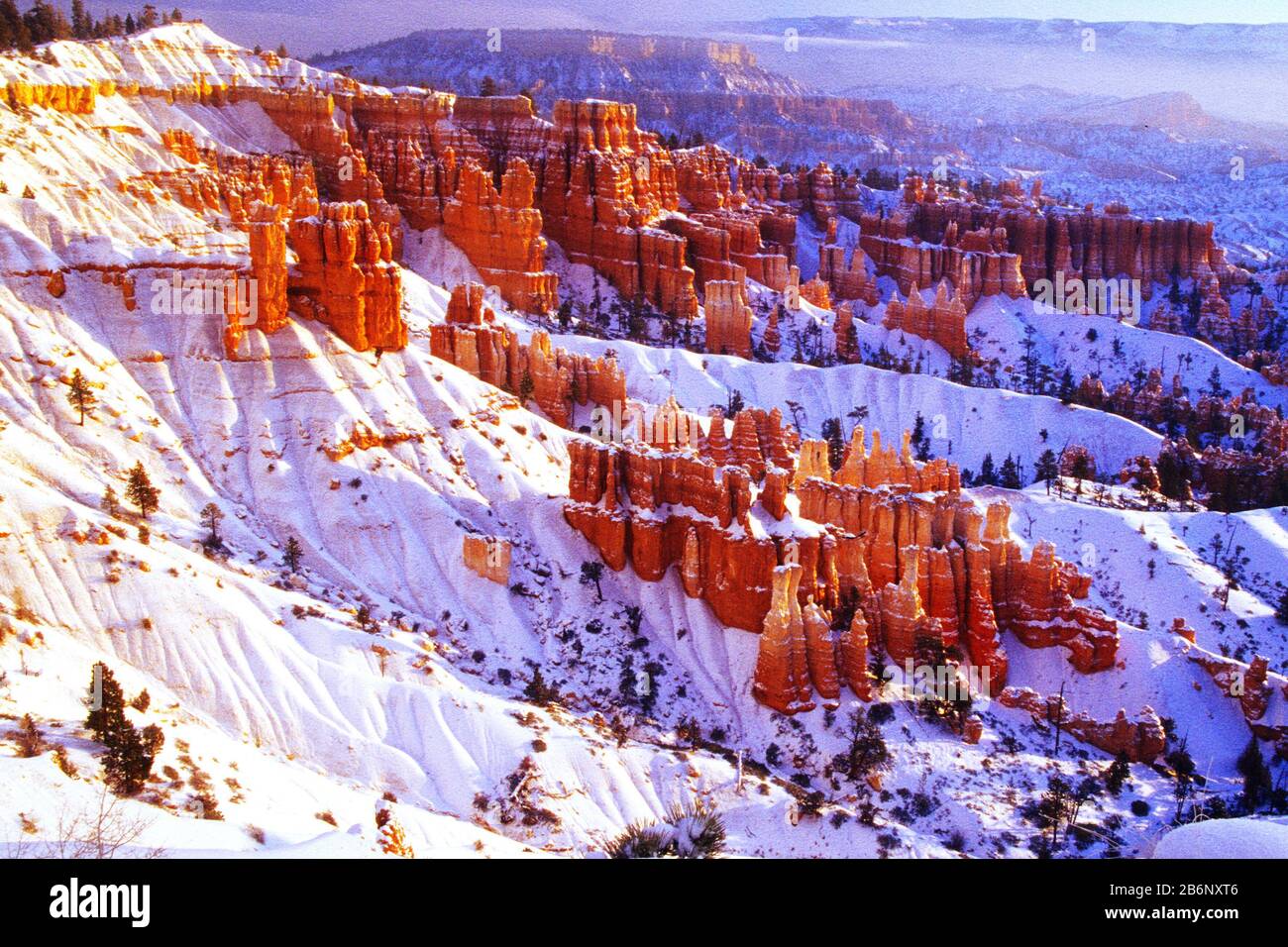 Estados Unidos - Bryce Canyon - Utah - Winter - Tuff - Felsen Foto de stock