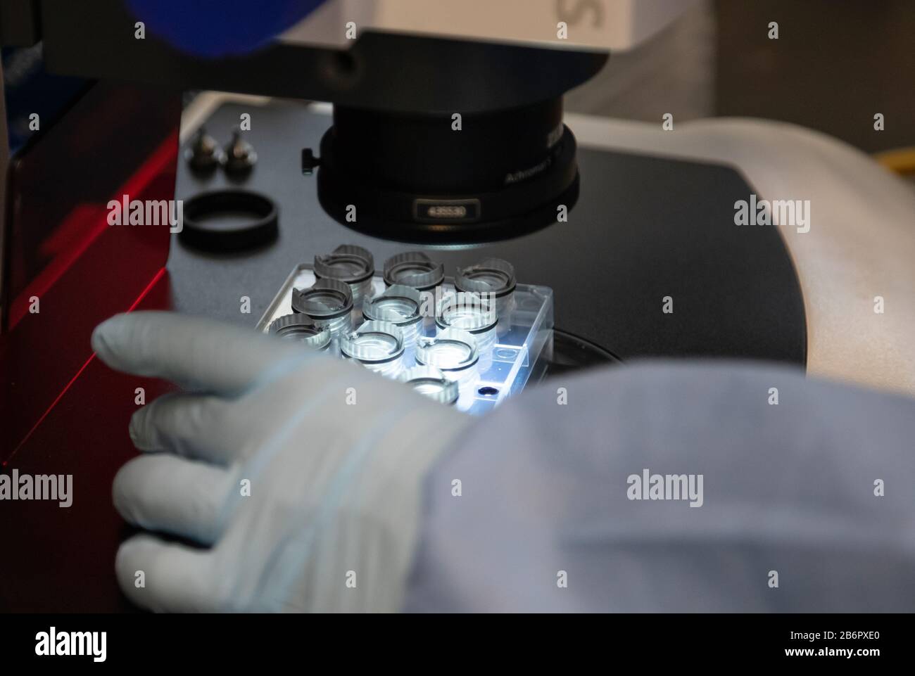 Investigadores de la rama De Enfermedades Infecciosas Emergentes del Instituto de Investigación del Ejército Walter Reed realizan estudios para encontrar una solución para el coronavirus. Foto de stock