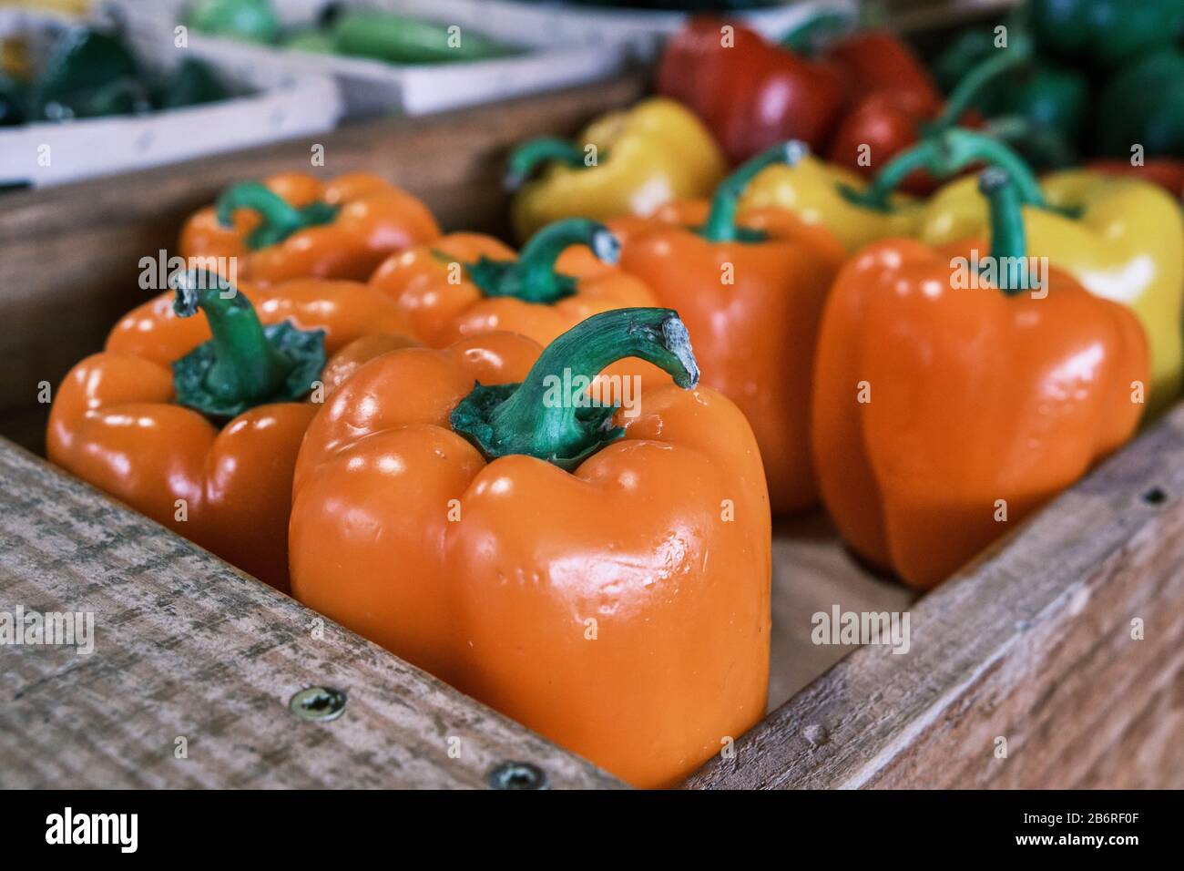 Pimientos de naranja frescos en el estante en una granja o mercado de agricultores o en el puesto de verduras frescas al borde de la carretera Pike Road, Alabama, EE.UU. Foto de stock