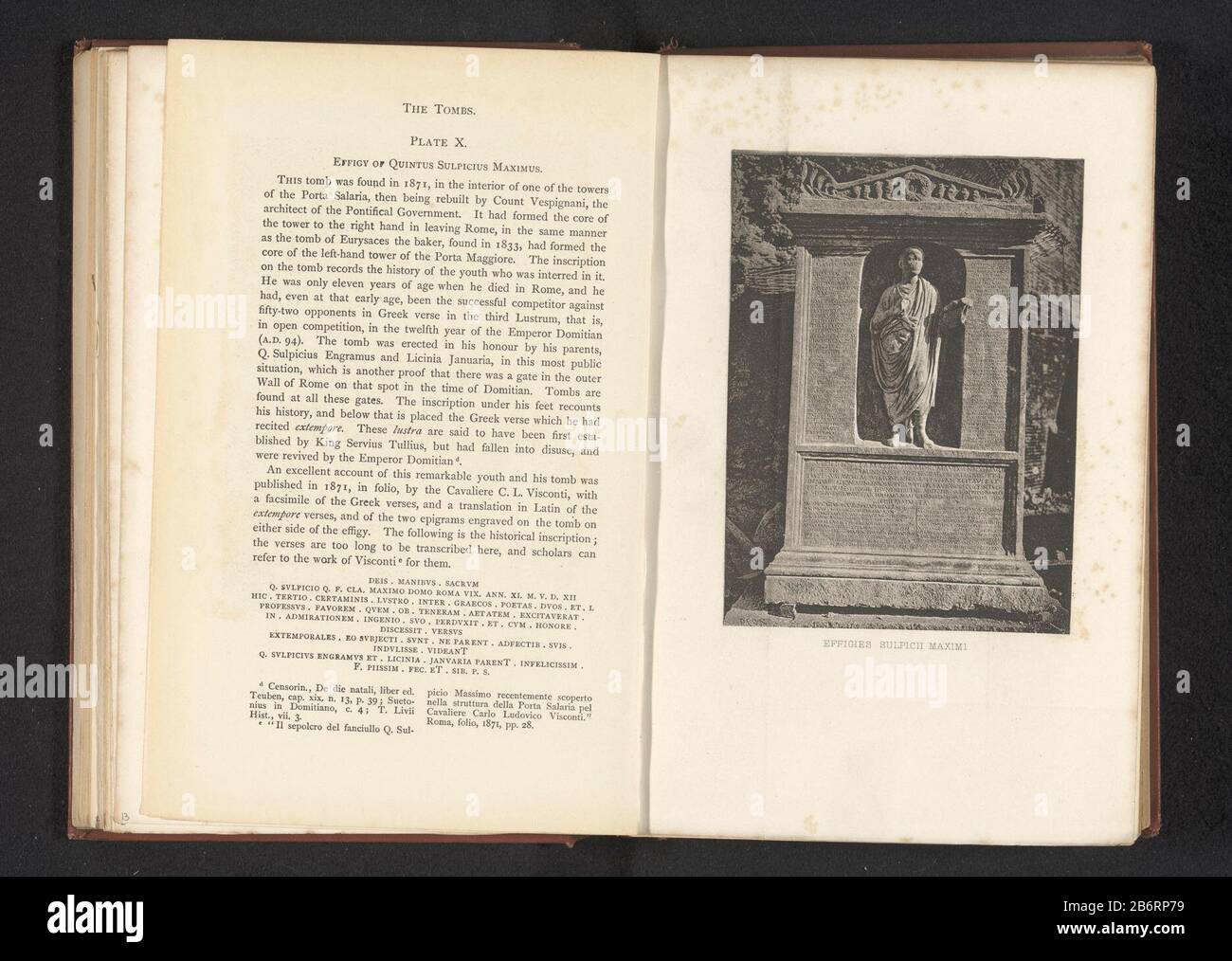 Quintus maximus fotografías e imágenes de alta resolución Alamy