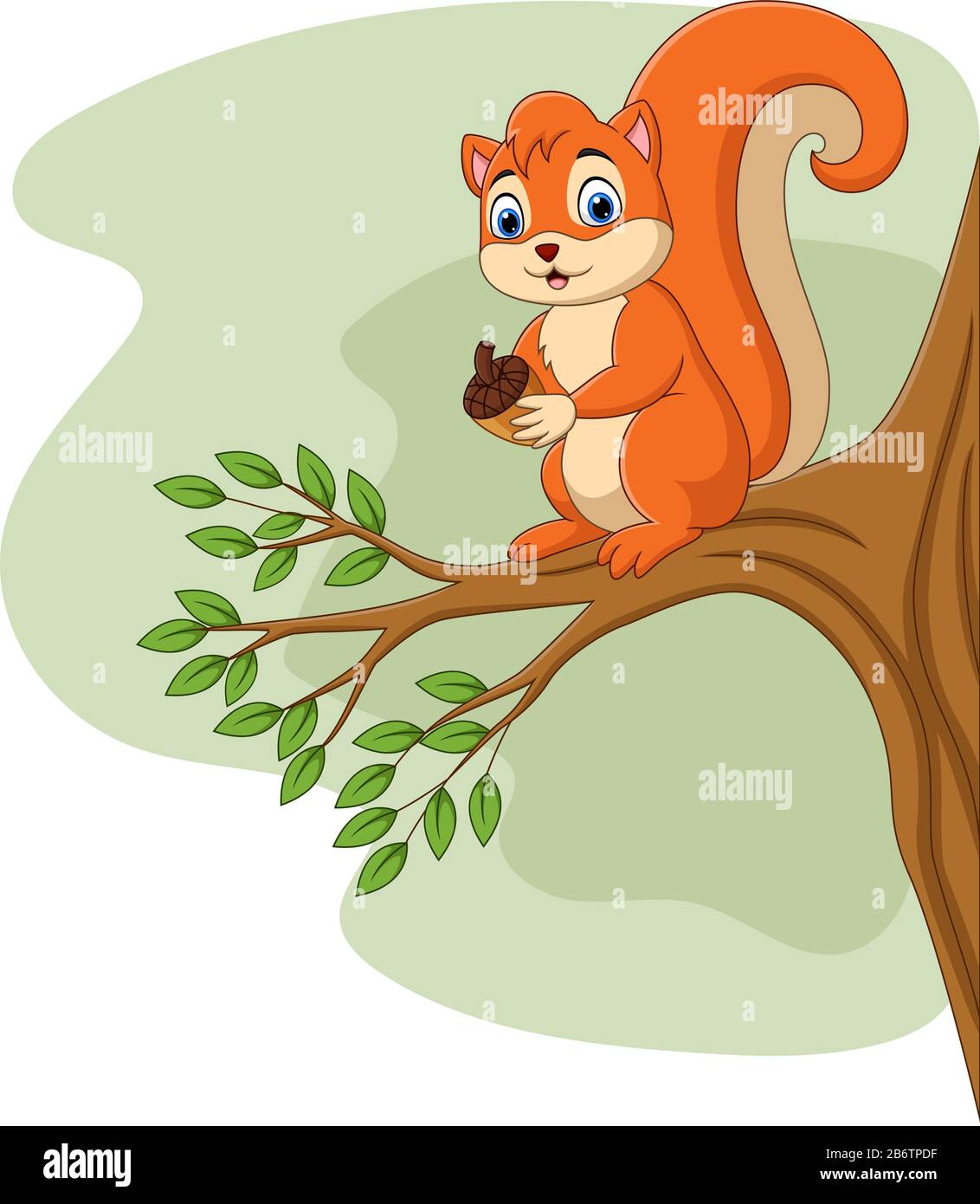 Ardilla de dibujos animados que sostiene el cono de pino en la rama del árbol Imagen Vector de stock - Alamy Ardilla de dibujos animados que sostiene el cono de pino en la rama del árbol Imagen Vector de stock - Alamy