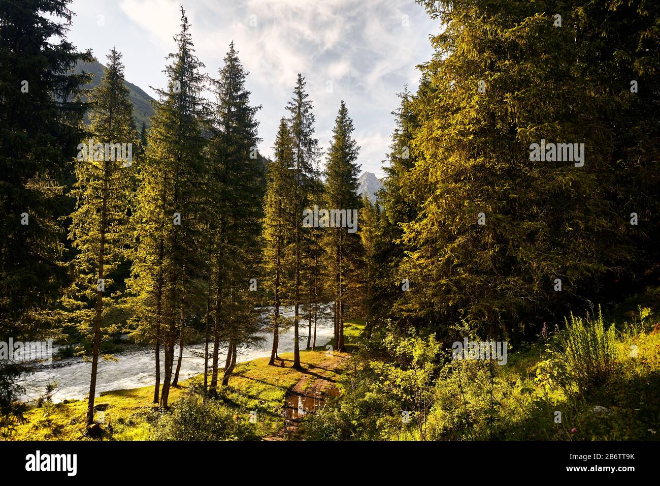 Paisaje de río y valle de montaña con árboles de picea y pico nevado en el fondo en el parque nacional de Karakol, Kirguistán Foto de stock