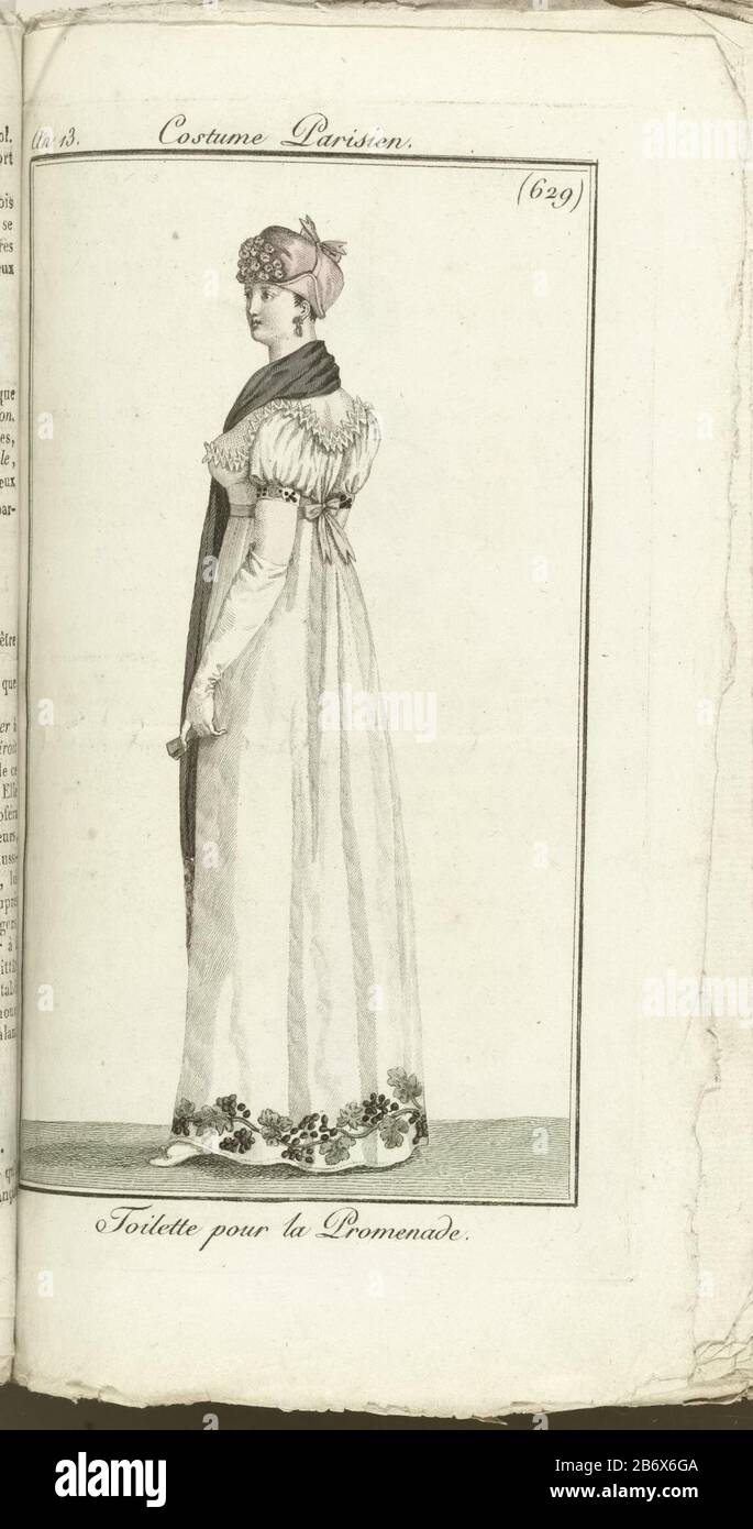 Journal des Dames et des Modes Costume Parisien 1805 An 13 629