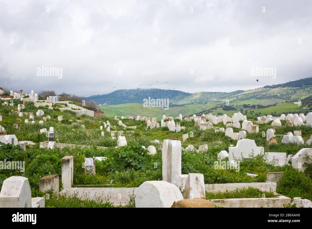 Lápidas de mármol blanco en una cemetría en las afueras de Fes