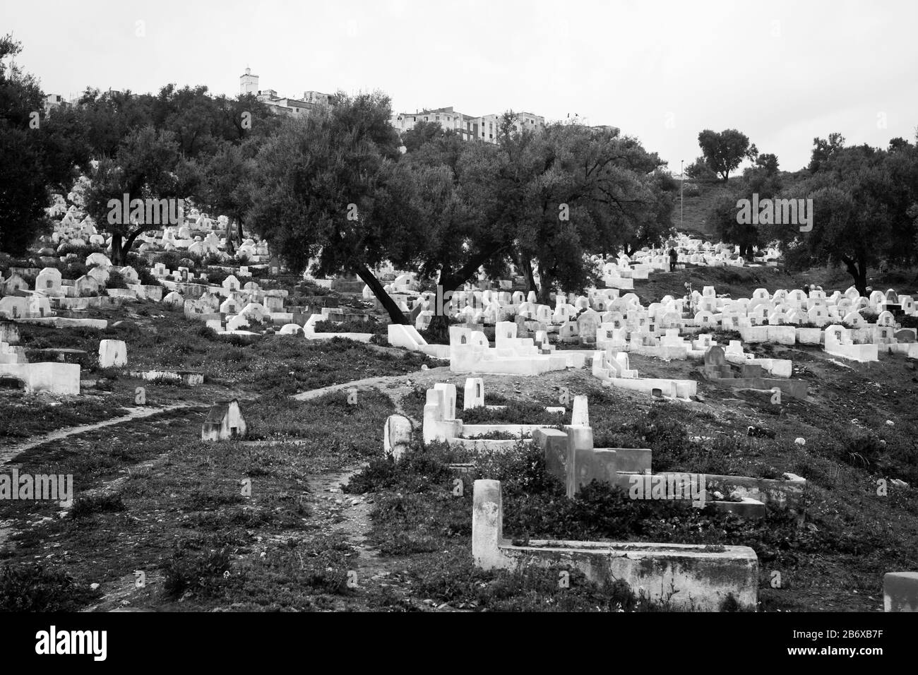 Lápidas de mármol blanco en una cemetría en las afueras de Fes