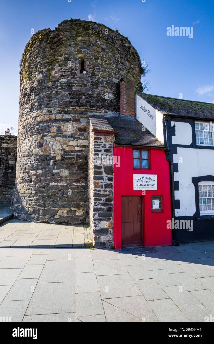 La casa más pequeña de Gran Bretaña construida contra la muralla del castillo de Conwy, Gales Foto de stock