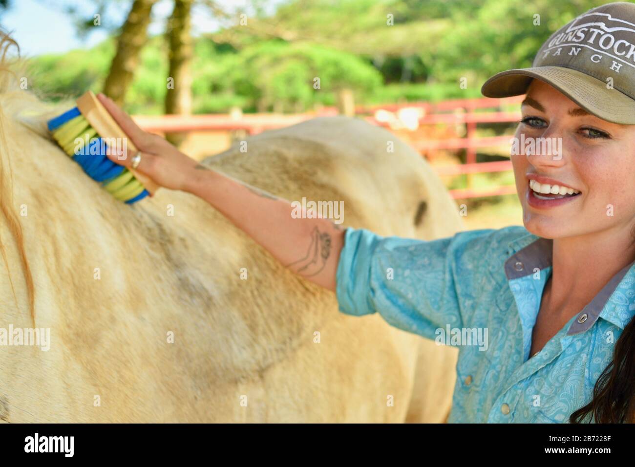 Caballos siendo cuidados y cuidados por una joven y atractiva vaquera sonriente en el establo de caballos de 900 acres Gunstock Ranch, Isla Oahu, Laie, Hawaii, Estados Unidos Foto de stock