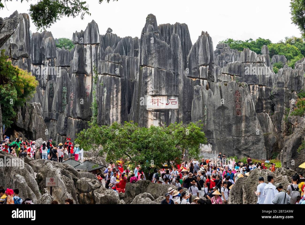 El Bosque de Piedra en Kunming, Yunnan es una maravilla geológica de piedra caliza que cubre más de 80 hectáreas y fue declarado Patrimonio de la Humanidad por la Unesco. Foto de stock
