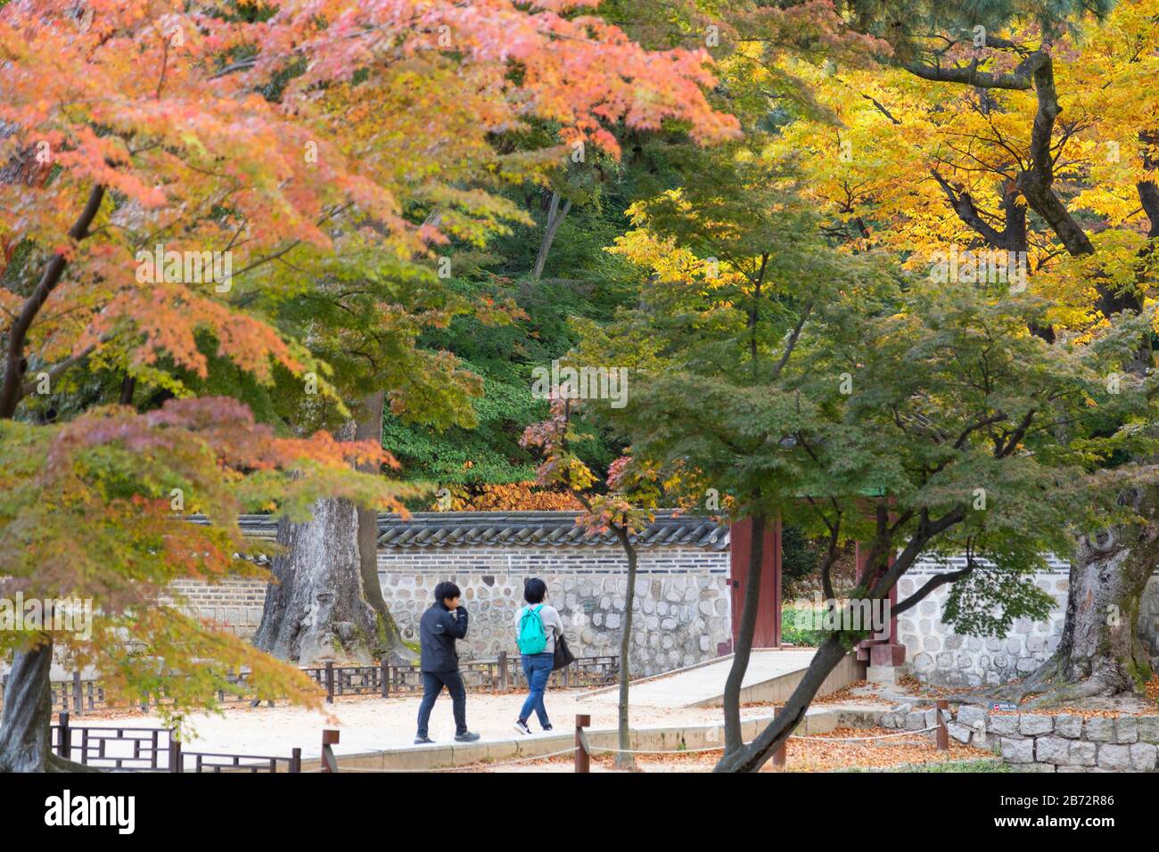 Jardín secreto en el Palacio Changdeokgung (Patrimonio de la Humanidad de la UNESCO), Seúl, Corea del Sur Foto de stock