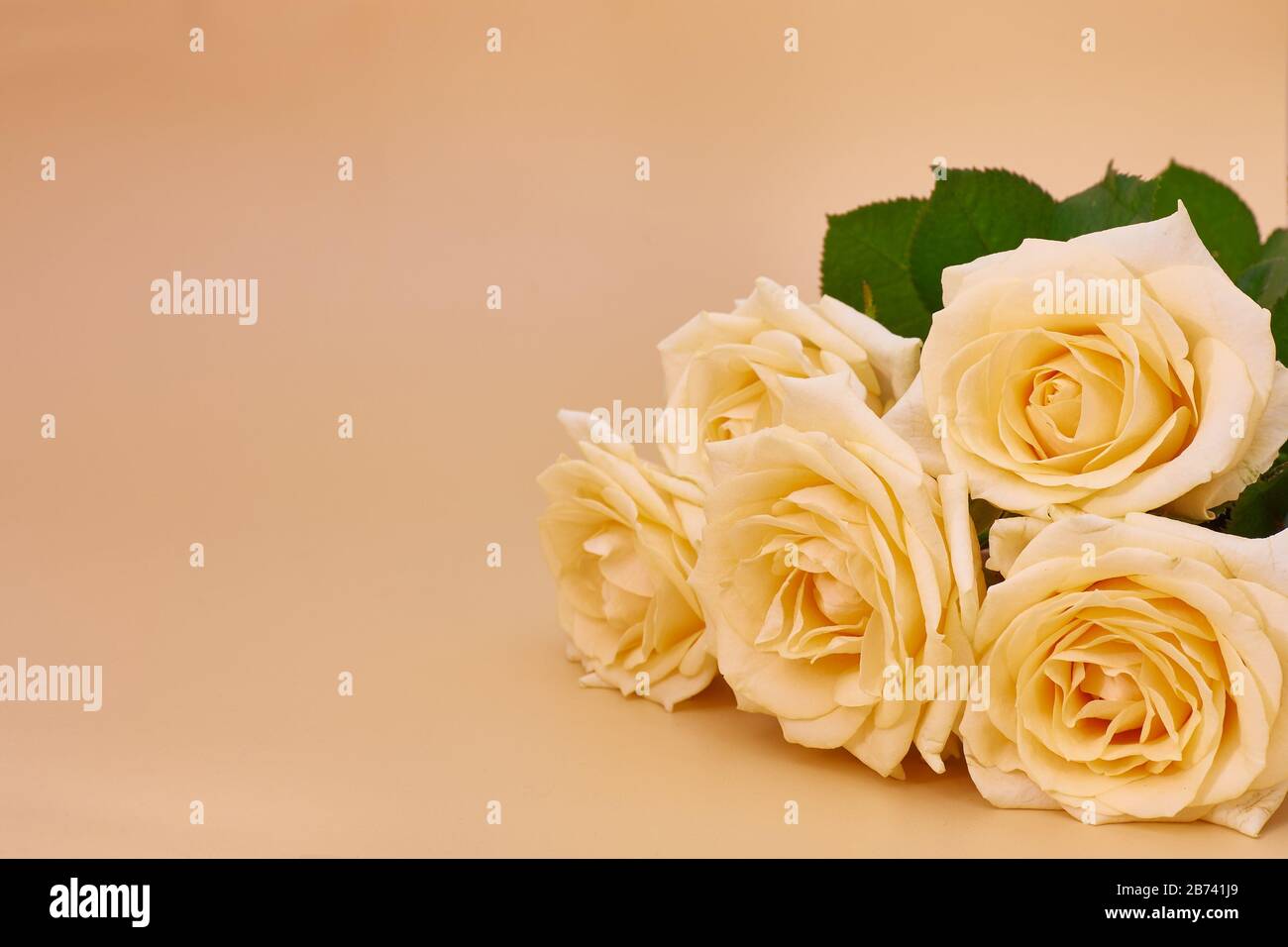 Cinco rosas amarillas sobre un fondo amarillo con espacio de copia Foto de stock