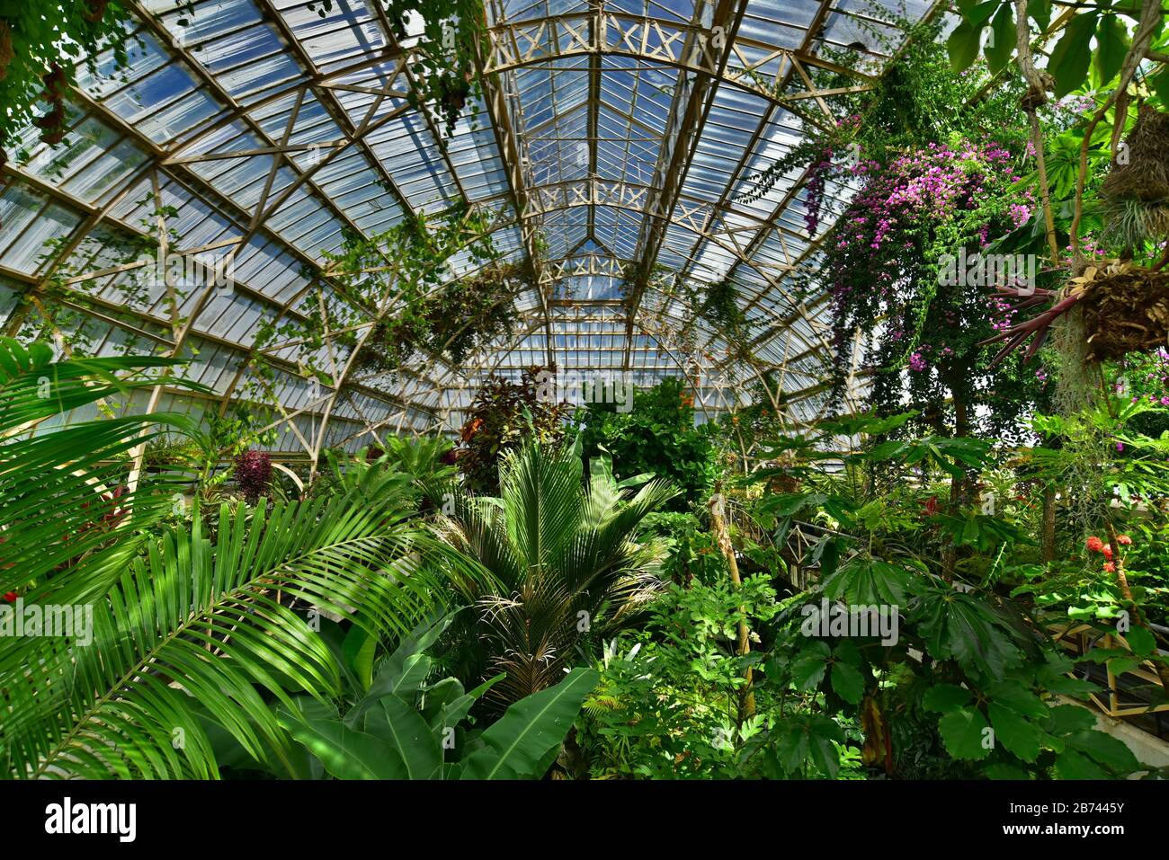 Los Jardines Botánicos de Christchurch, Nueva Zelanda Foto de stock