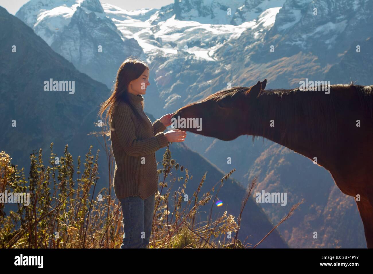 Mujer teniendo sexo con un caballo