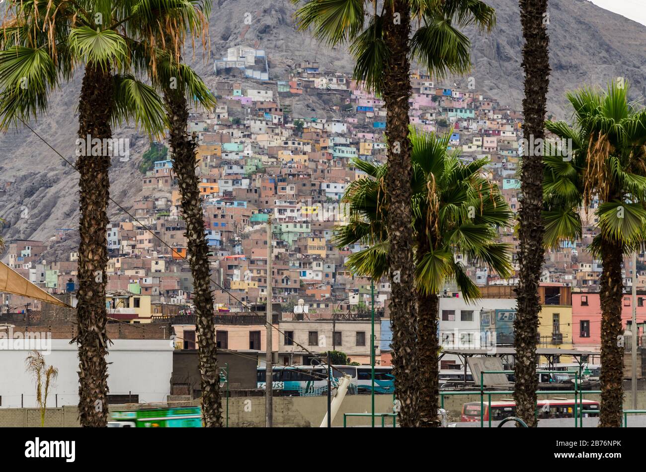 Edificios multicolores entre palmeras en el cerro del barrio de San  Cristóbal, Lima, Perú Fotografía de stock - Alamy