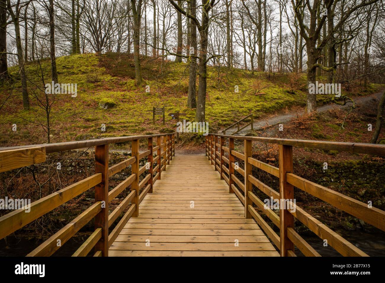 Wooden Bridge cerca de Grasmere, Distrito Inglés de los Lagos Foto de stock