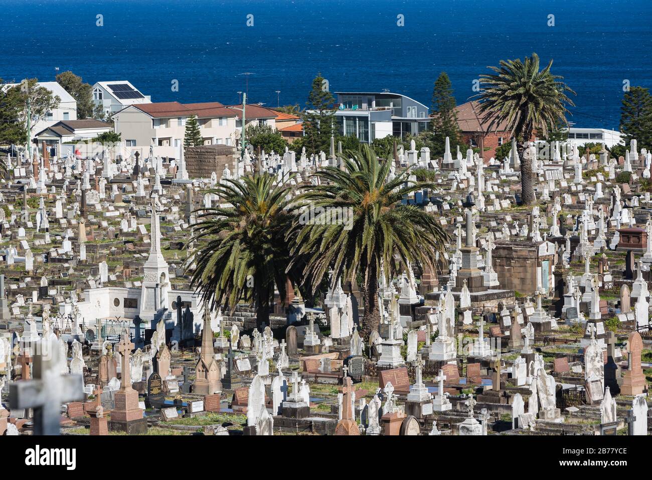 El Cementerio Waverley es un cementerio catalogado como patrimonio histórico en la cima de los acantilados de Bronte, en los suburbios del este de Sydney, Nueva Zelanda, Australia. El paseo por la costa wa Foto de stock