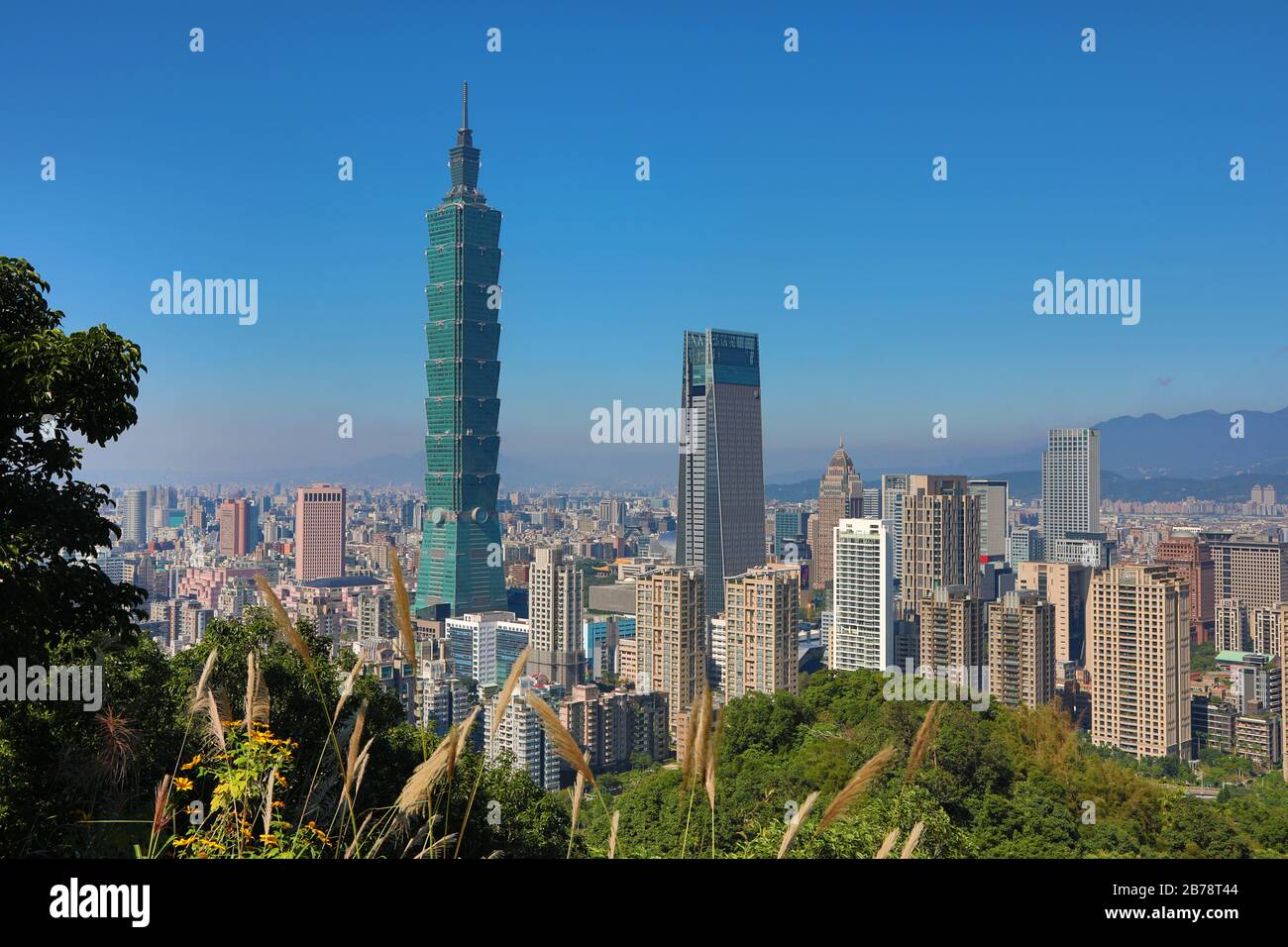 Rascacielos Taipei 101 en el distrito de Xinyi, Taipei, Taiwán Foto de stock