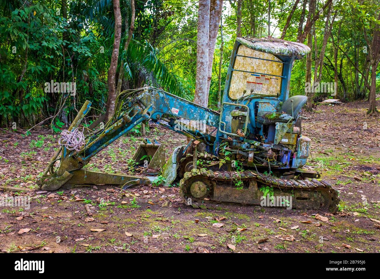 Miniexcavadora Komatsu abandonada, desaprovechada y corrosiva en la selva tropical de Borneo, Malasia Foto de stock
