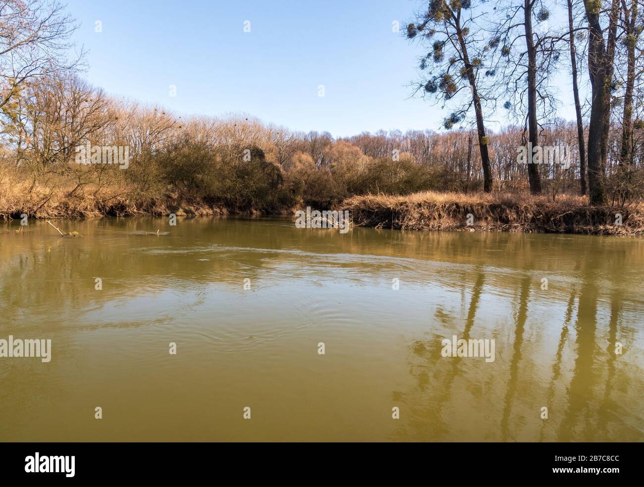 Río Odra meandro en CHKO Poodri en la república Checa durante un hermoso día de primavera Foto de stock
