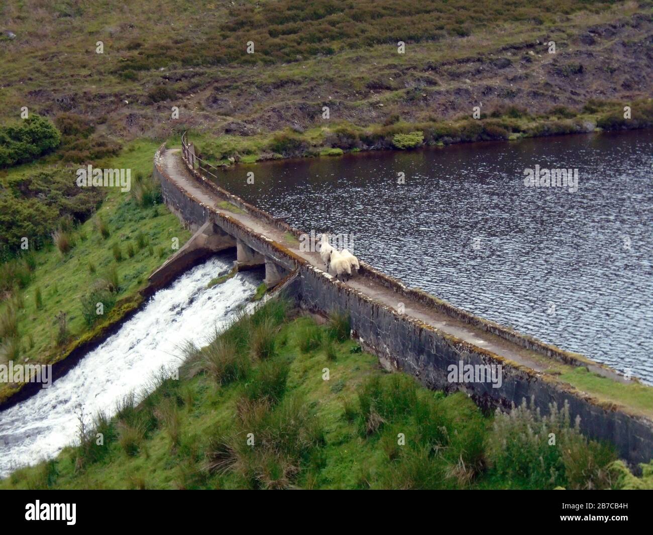 La presa Weir y Little Reservoir cerca de Inchmore Bothy en la ruta a la montaña escocesa Corbett 'Brown Cow Hill' cerca de Ballater, Deeside, Escocia, Reino Unido. Foto de stock