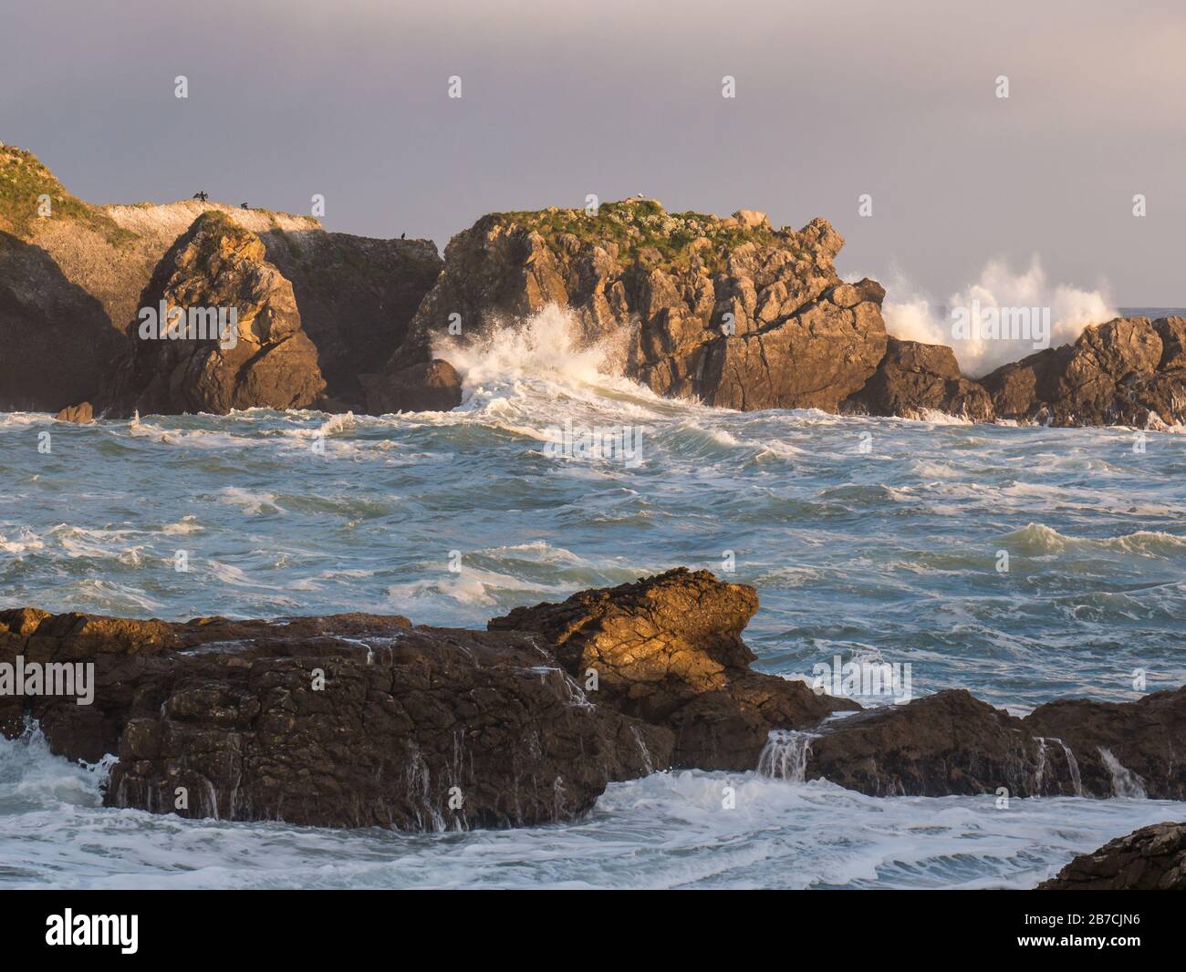 Roca cormorana y olas salpicadas al amanecer, costa del Océano Atlántico/Mar Cantábrico, Punta del Castillo en el Parque Natural de Oyambre Foto de stock