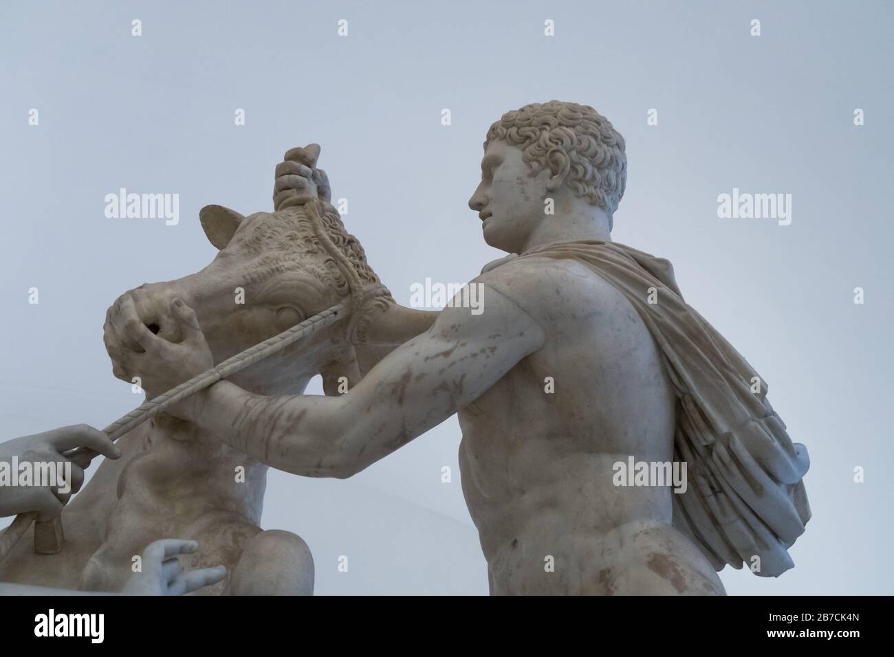 Una estatua de mármol del Toro Farnese también conocido como el Toro Farnese en el Museo Arqueológico de la Nación de Nápoles en Italia Foto de stock