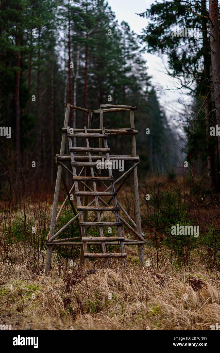 torre de caza arbolada con escaleras y hermosos bosques mixtos en el fondo Foto de stock