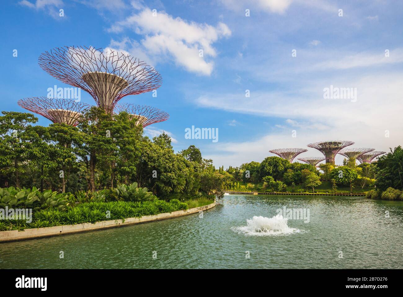 Singapur, Singapur - 6 de febrero de 2020: Paisaje de jardines junto a la bahía con cúpula de flores, bosque nuboso y arboleda Supertree en la bahía marina por la noche Foto de stock