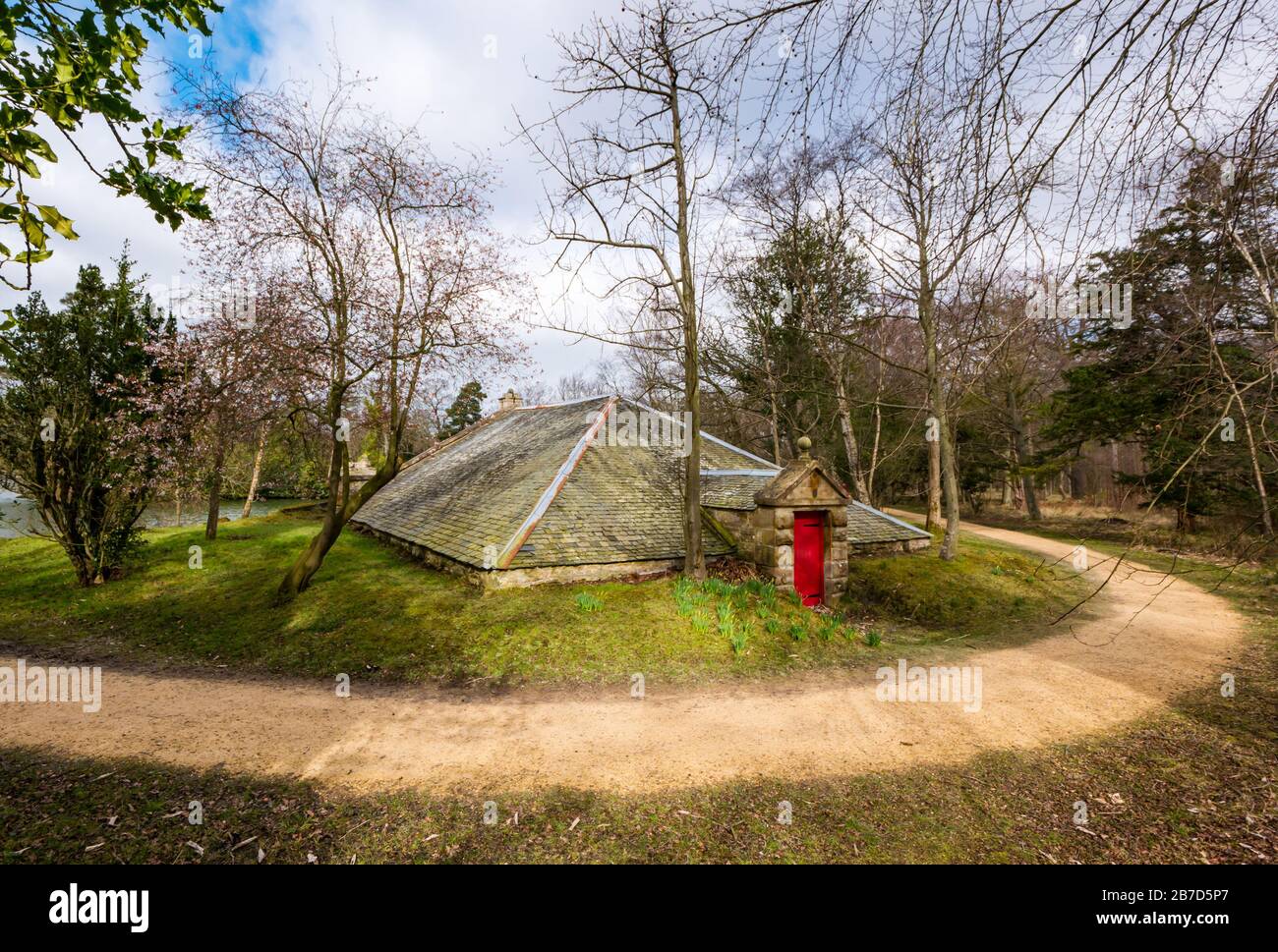 Gosford Estate, East Lothian, Escocia, Reino Unido. 15 de marzo de 2020. Clima en el Reino Unido: Sol de primavera en la finca. Flor de primavera que comienza a florecer en un árbol junto a la casa de los barcos Foto de stock