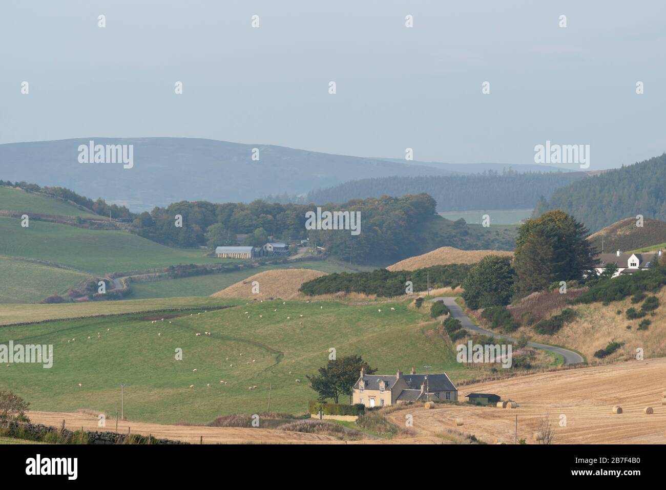 Una comunidad agrícola rodeada de ganado y campos cultivables en el campo de Aberdeenshire Foto de stock