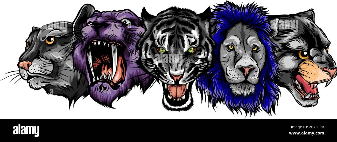 Dibujos gatos vector conjunto. Ilustración de negra, cougar, jaguar, león, tigre, guepardo, leopardo de nieve Imagen Vector de stock - Alamy